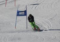 Landes-Ski-2015 21 Herbert Huemer